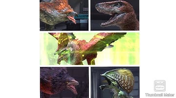 JWA Poukandactylus Showcase