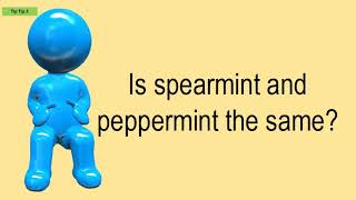 Is Spearmint And Peppermint The Same?