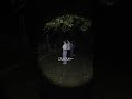 “呪いの木”は行っちゃだめ……【映画『口に関するアンケート』×コワゾーコラボ】