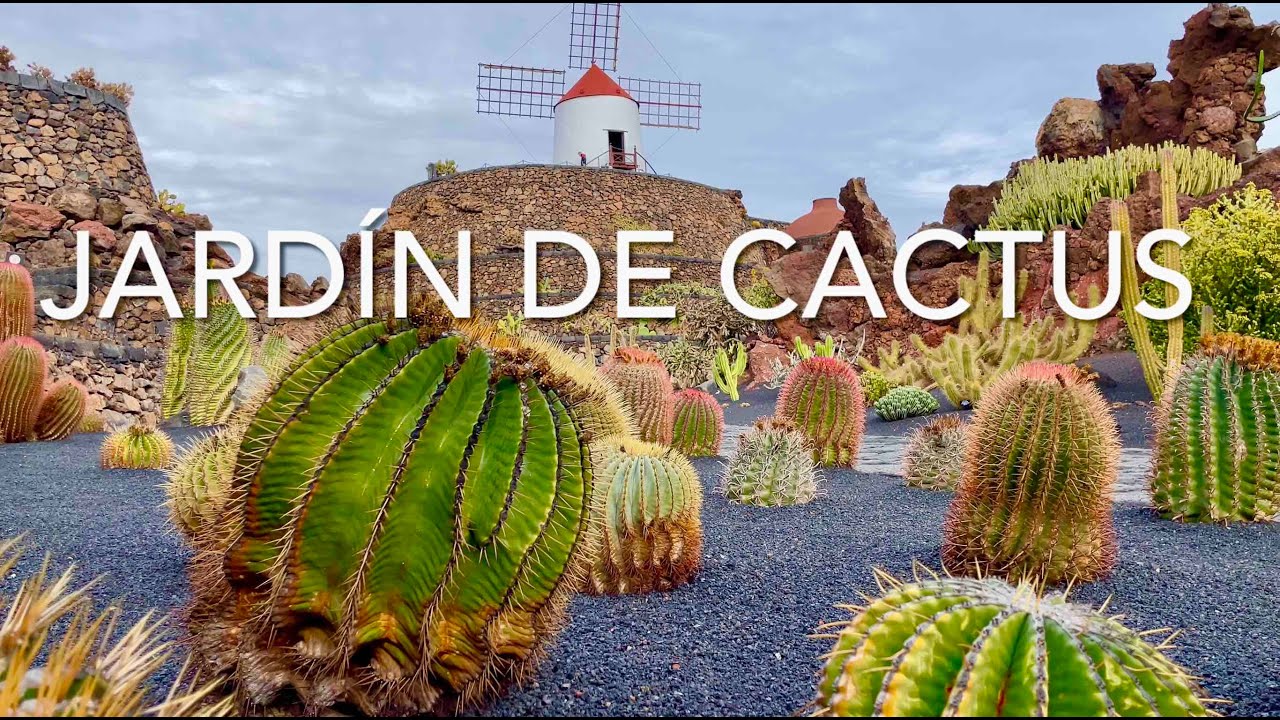 Jardin de Cactus, Lanzarote (4K)