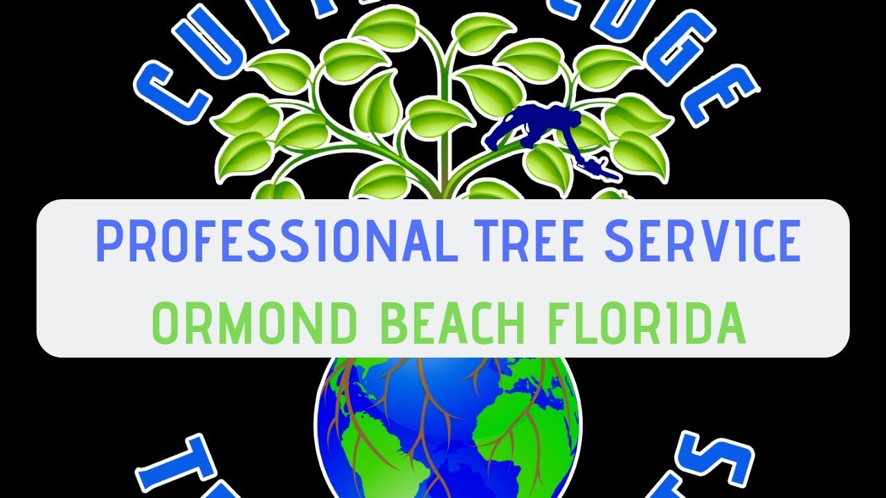 Tree Service Ormond Beach Florida | Cutting Edge Tree Experts | Best Tree Service In Ormond Beach