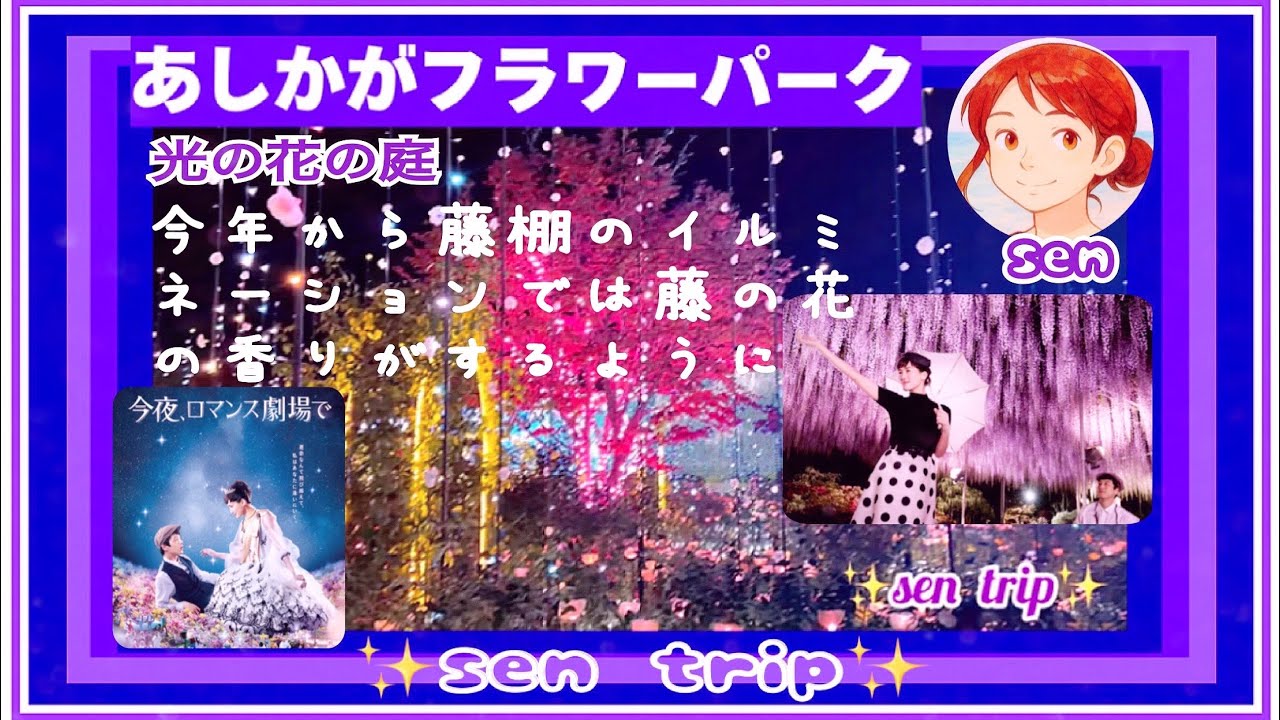 藤の花香るイルミ（あしかがフラワーパーク）✨光の花の庭    #あしかがフラワーパーク  #イルミネーション  #足利市  #栃木県  