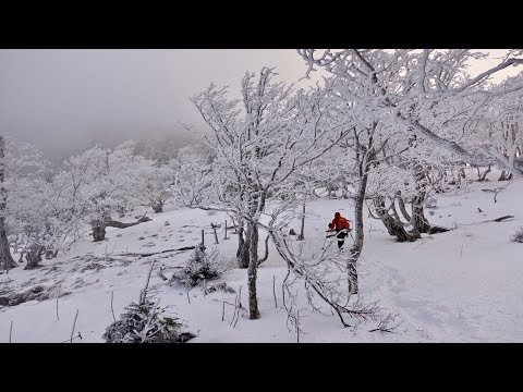 厳冬期 八経ヶ岳 テント泊