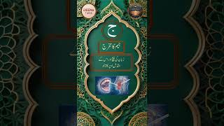 Quranic Tajweed: Makhraj of Jeem جیم کا مخرج
