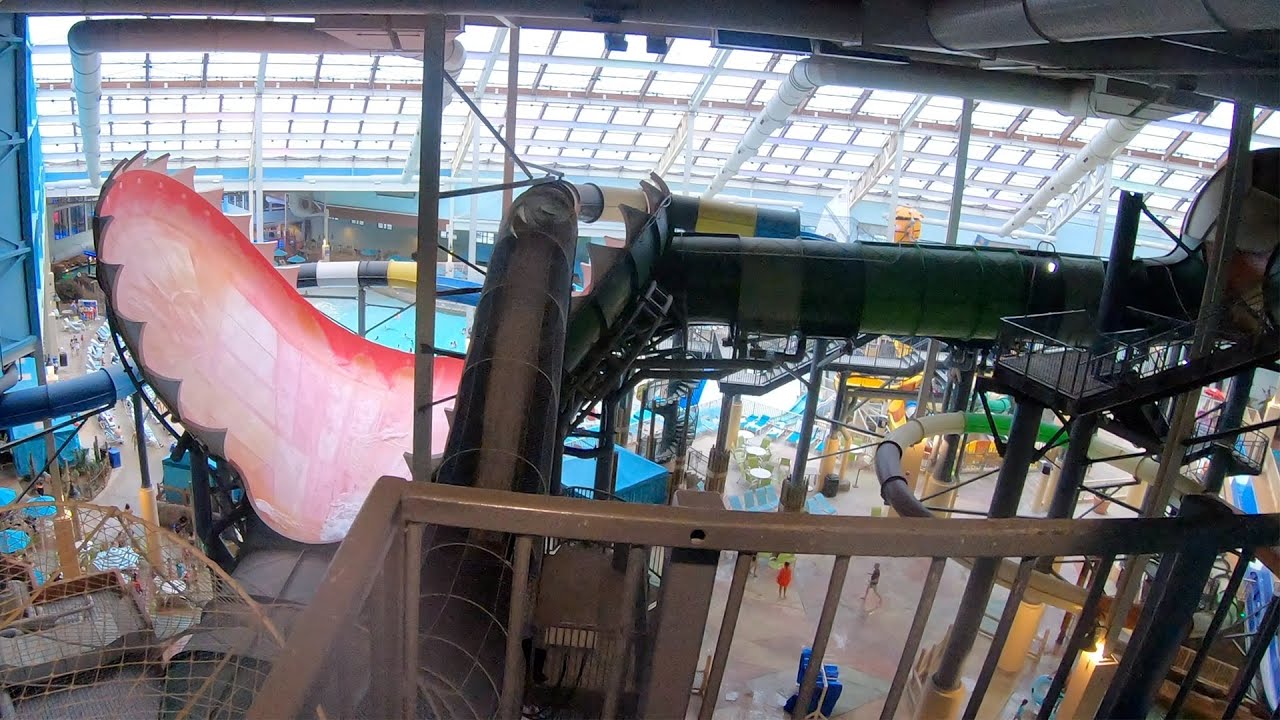 VENUS FLYTRAP WATERSLIDE - Venus Slydetrap | Camelback Aquatopia