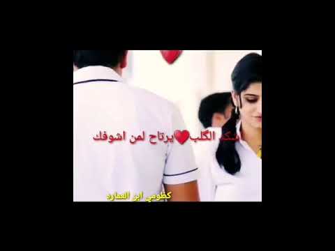 اجمل ورع مقاطع احب شكد الكلب يرتاح حلات واتس اب 2019 الوصف من طرفي فدوه