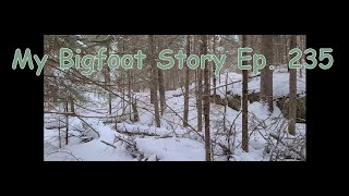 My Bigfoot Story Ep. 235 - Owls & UFOs In The Swamp