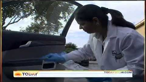 Today Show: Rental Cars - Secret Filth Exposed