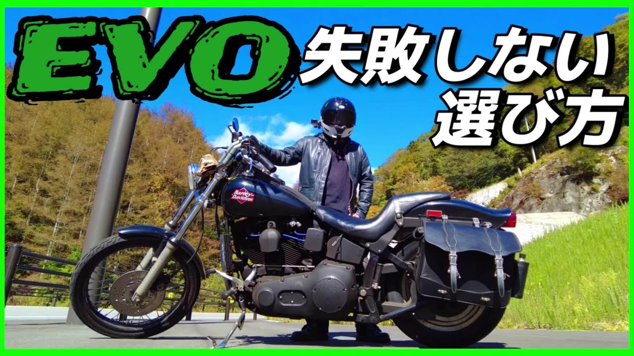 ハーレーエボモデルを購入する前に割と真面目に見てほしい動画🤔【中古
