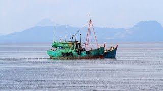 Masat Rasakan Manfaat Penenggelaman Kapal Asing Pencuri Ikan
