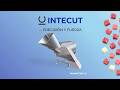 Cortadora Industrial MasterCut 600 | Procesamiento de Productos Firmes y Carnes