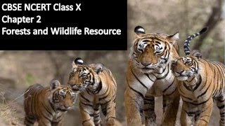 Forests and Wildlife Resources - NCERT Class 10 Geography  Explanation