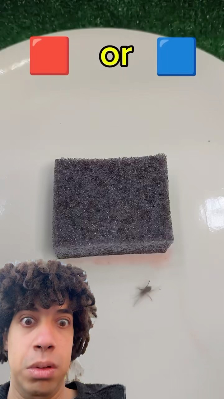 Whats is this ?