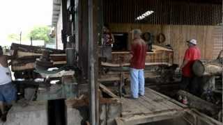Sawing Cocobolo in Nicaragua