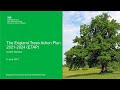 What does England’s Trees Action Plan mean for forestry and wood businesses?