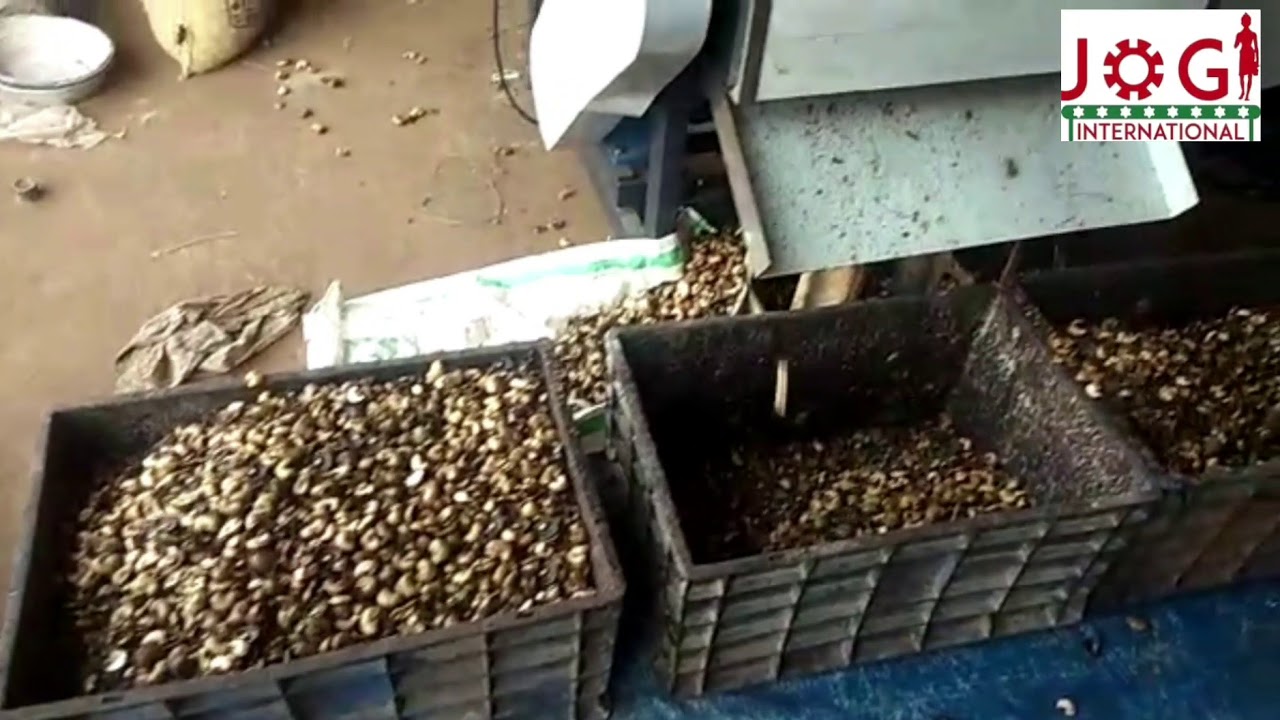Horizontal cashew cutting machine