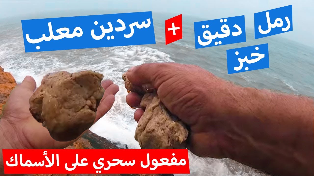 عجينة الصيد السحرية بالسردين المعلب