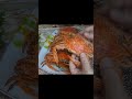 إعملي الكابوريا بطريقه دي وإدعيلي Food Viral Fyp Foryou لايك وإشتراك لأختكم إعملي الكابوريا بطريقه دي وإدعيلي Food Viral Fyp Foryou لايك وإشتراك لأختكم