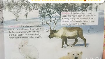 Class-3,Chapter-1 to 13#GK#mittsure#complete exercise by Mukesh soni