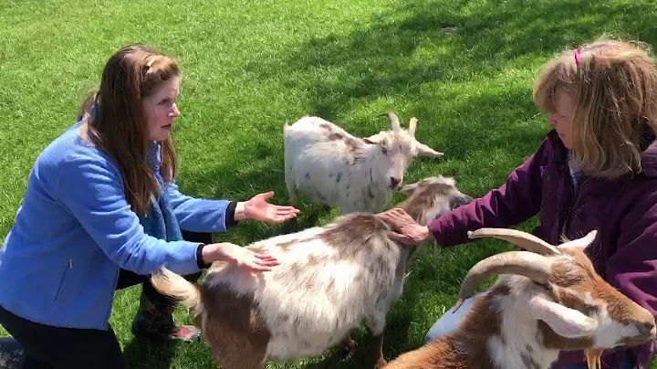 Lisa Berigan with Terry Cummings and Ozzy, Hazel a...