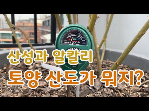 [치치의가드닝클래스]토양의 산도? 산성 토양과 알칼리 토양의 원인과 해결 방법_Acid soil & Alkali soil