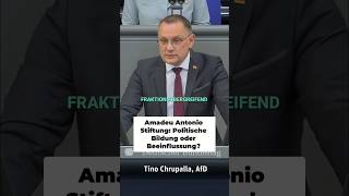 #afd Amadeu Antonio Stiftung: Politische Bildung oder Beeinflussung? #shorts #politik #deutschland