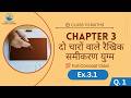 दो चारों वाले रैखिक समीकरण युग्म | Exercise 3.1 का सबसे आसान तरीका