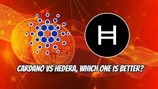 Cardano(ADA) vs Hedera(Hbar), which one is the better investment for you?