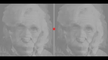 The Disappearing Faces Illusion