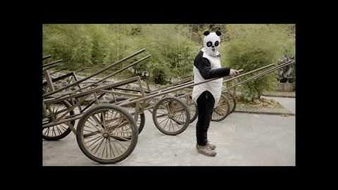 Pandas: back to the wild