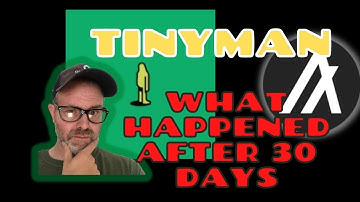 Tinyman review: How much I earned after 30 days