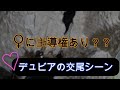 【閲覧注意】デュビアの交尾シーン、完全にメスに主導権有??♀が強し映像、マダガスカルフォレストローチの繁殖シーン
