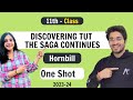 Discovering Tut: The Saga Continues | Hornbill - Class 11 English | NCERT