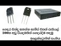 AMPLIFIER Sinhala C5198 Transistor Audio Amplifier Amp Sinhala Sinhala Electronic Class