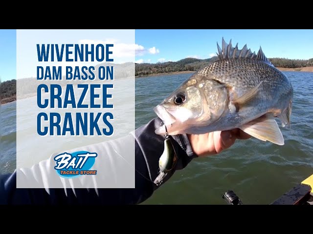 Bait Tackle Store: Wivenhoe Dam Bass on Crazee Cranks 