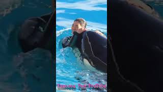 ララと超ラブ♥ラブ♥でホッコリ♥ #Shorts #鴨川シーワールド #シャチ #kamogawaseaworld #orca #killerwhale