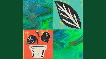 Vivacious Moods for A Mellow Memory