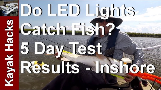 Do Flashing LED Fishing Lights Work? The TEST! 