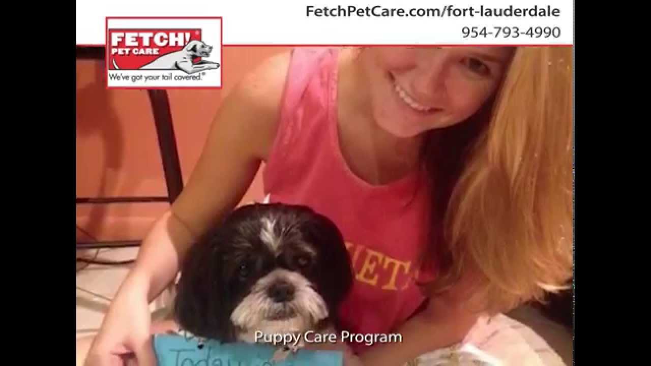 Fetch Pet Care YouTube Fetch Pet Care YouTube