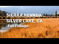 Silver Lake, Eastern Sierra, California Fall Foliage