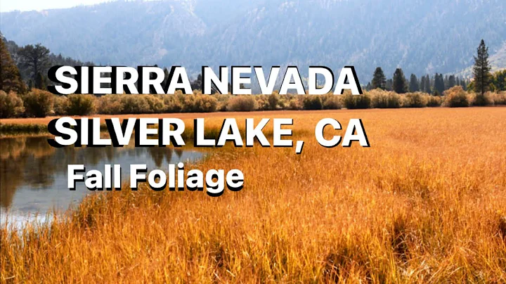 Silver Lake, Eastern Sierra, California Fall Foliage
