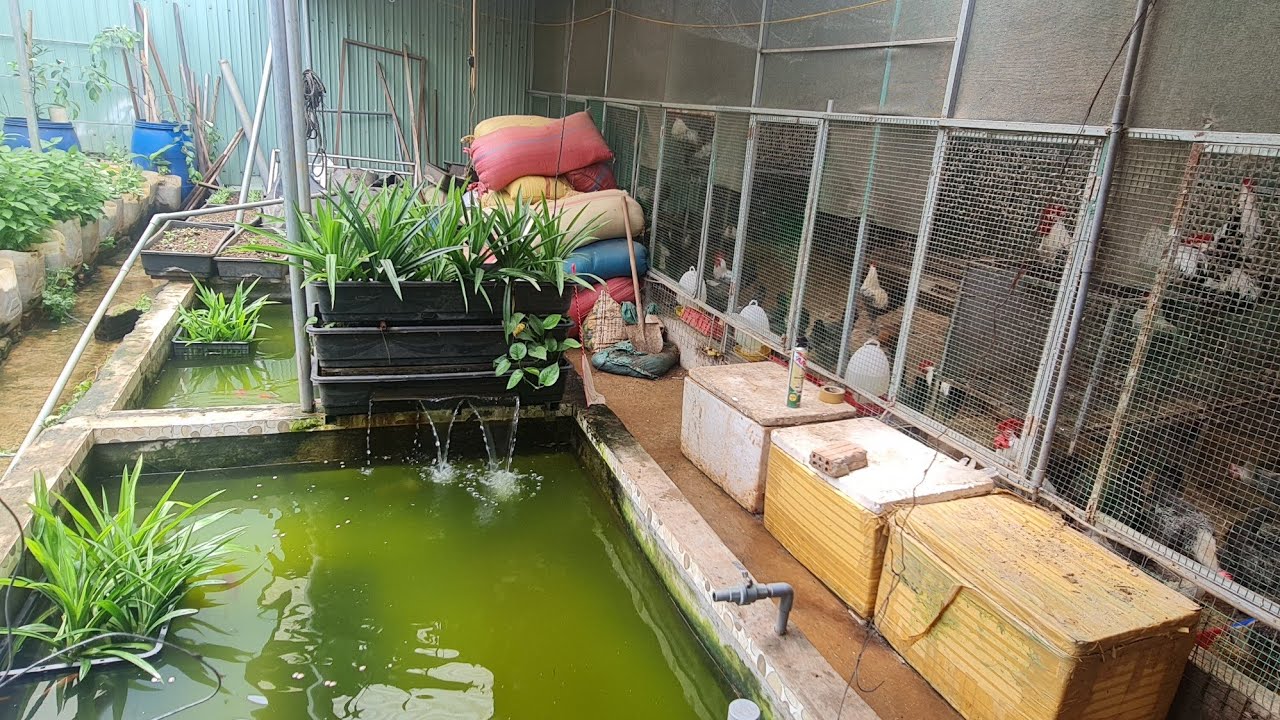 Mô Hình Khép kín thông minh Hoàn Chỉnh