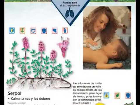 video-libro-enciclopedia-de-las-plantas-medicinales-editorial-safeliz-reforma-pro-salud