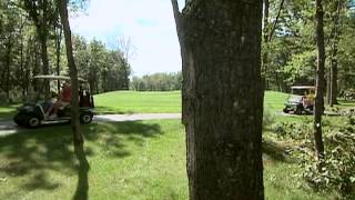 Dine and Gather at Spring Brook