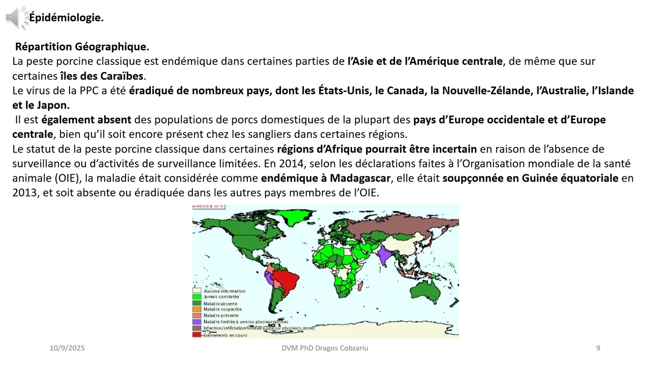 CURS 4 Peste FRA 25 26