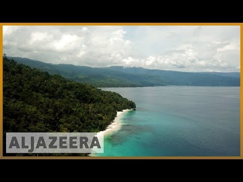 ? Race to save the rainforests in Asia-Pacific | Al Jazeera English