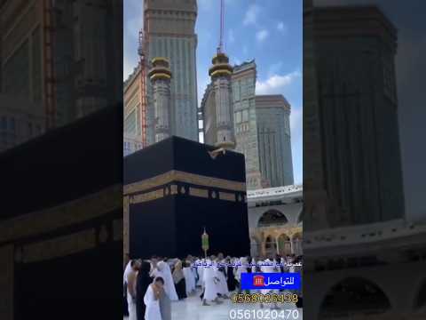 عمرة رمضان | صلاح الدالي