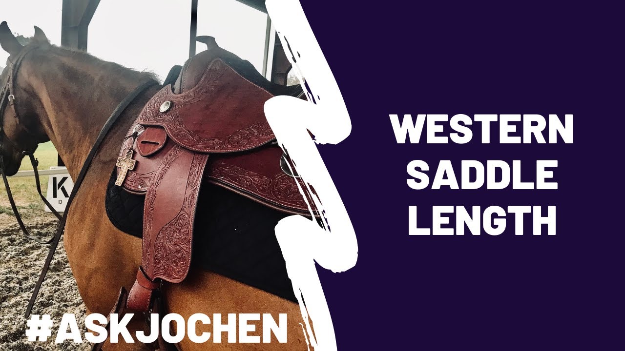 Western Saddle Length | #ASKJochen | Livestream Q&A Excerpt - YouTube