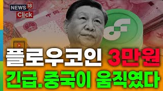 플로우코인 긴급속보 중국 공식발표 💎1개당 3만원까지 &quot;안멈춘다&quot;💎 #플로우코인 #플로우코인전망 #플로우코인분석 #플로우코인호재 #플로우코인차트 #플로우코인물타기