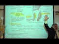 ANATOMY; MUSCLES OF THE PERINEUM & THIGH by Professor Fink